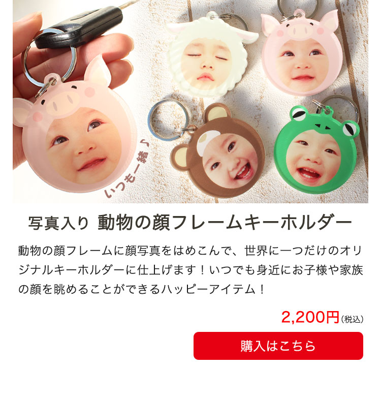ʐ^蓮̊t[L[z_[
