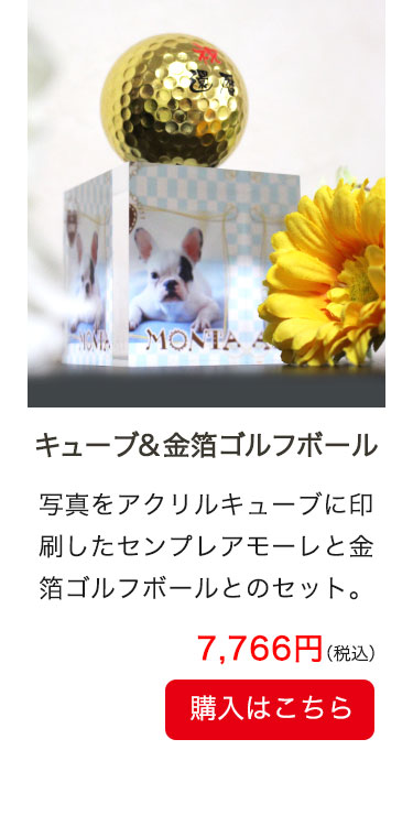 St{[ʐ^ANL[u