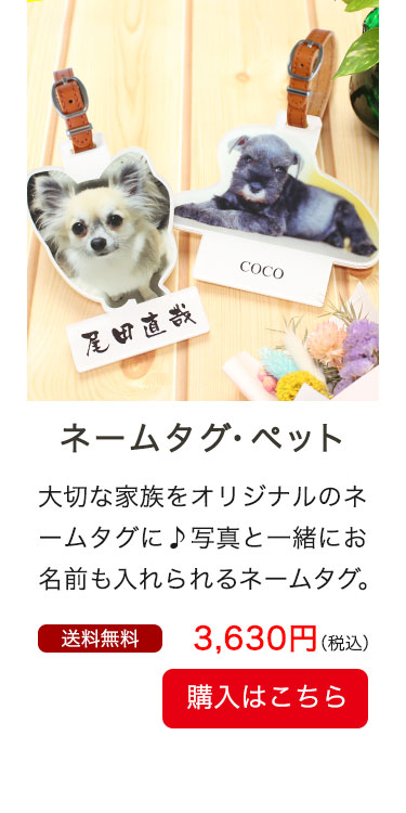 l[^OEybg