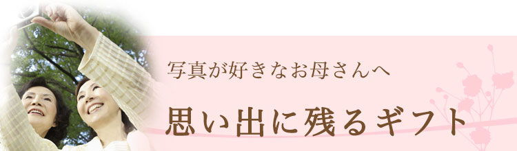 voɎcMtg