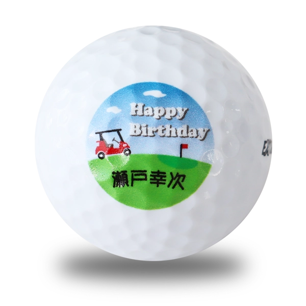 �Жʈ���S���t�{�[���̃C���[�W