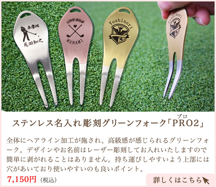 XeX꒤O[tH[NuPRO2v