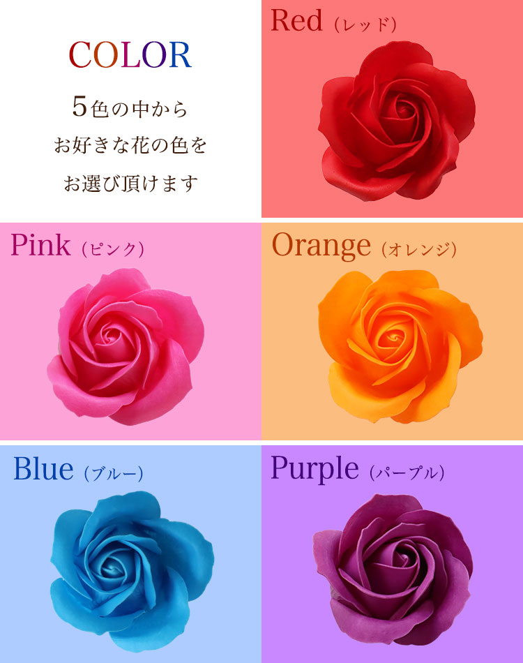 花の色