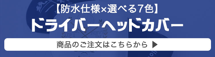�^�C�g��