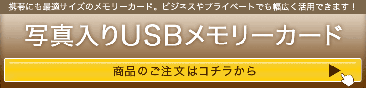 ʐ^USB[J[h̒͂炩