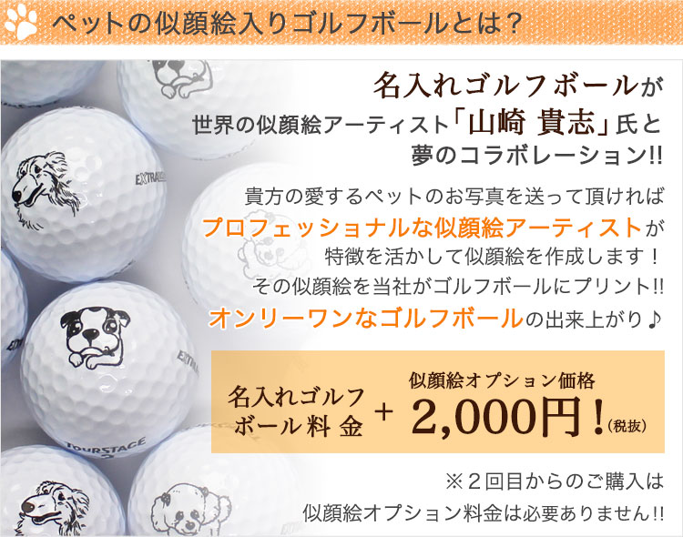 ペットの似顔絵入り ゴルフボール 名入れ6個 キーホルダー ペット 誕生日 オリジナル プレゼント ペットの似顔絵入り ゴルフボール 名入れ6個 キーホルダー ペット 誕生日 オリジナル プレゼント