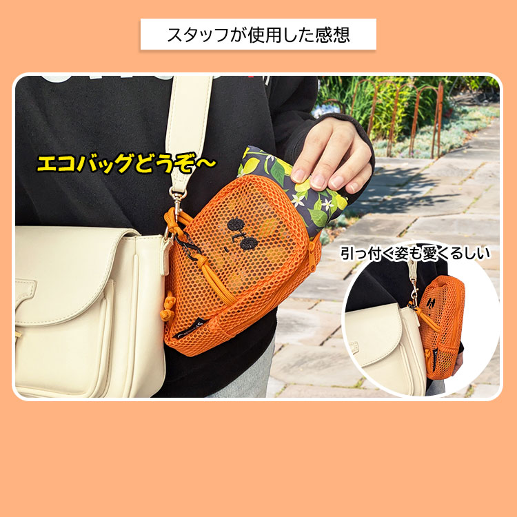 �X�^�b�t���g�p�������z