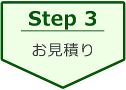 Step3Fς