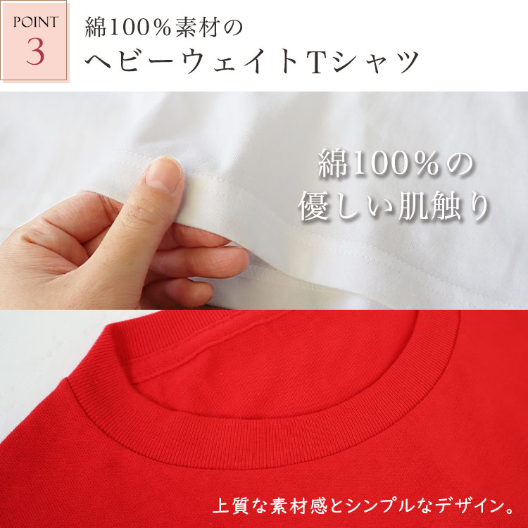 |Cg3E100fނ̃wr[EFCgTVc