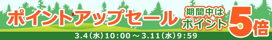 �|�C���g�A�b�v�Z�[��