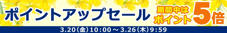 �|�C���g�A�b�v�Z�[��