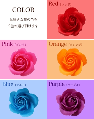 花の色