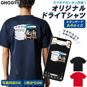 オリジナルドライTシャツ